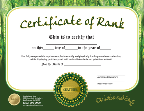 rank certificate martial arts template flyer 85x11
