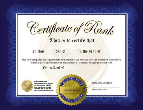 Martial Arts Design Template Rank Certificate 8.5 x 5.5 Flyer ma010507 8.5 x 11